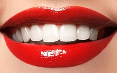 成人A片免费看男人社区